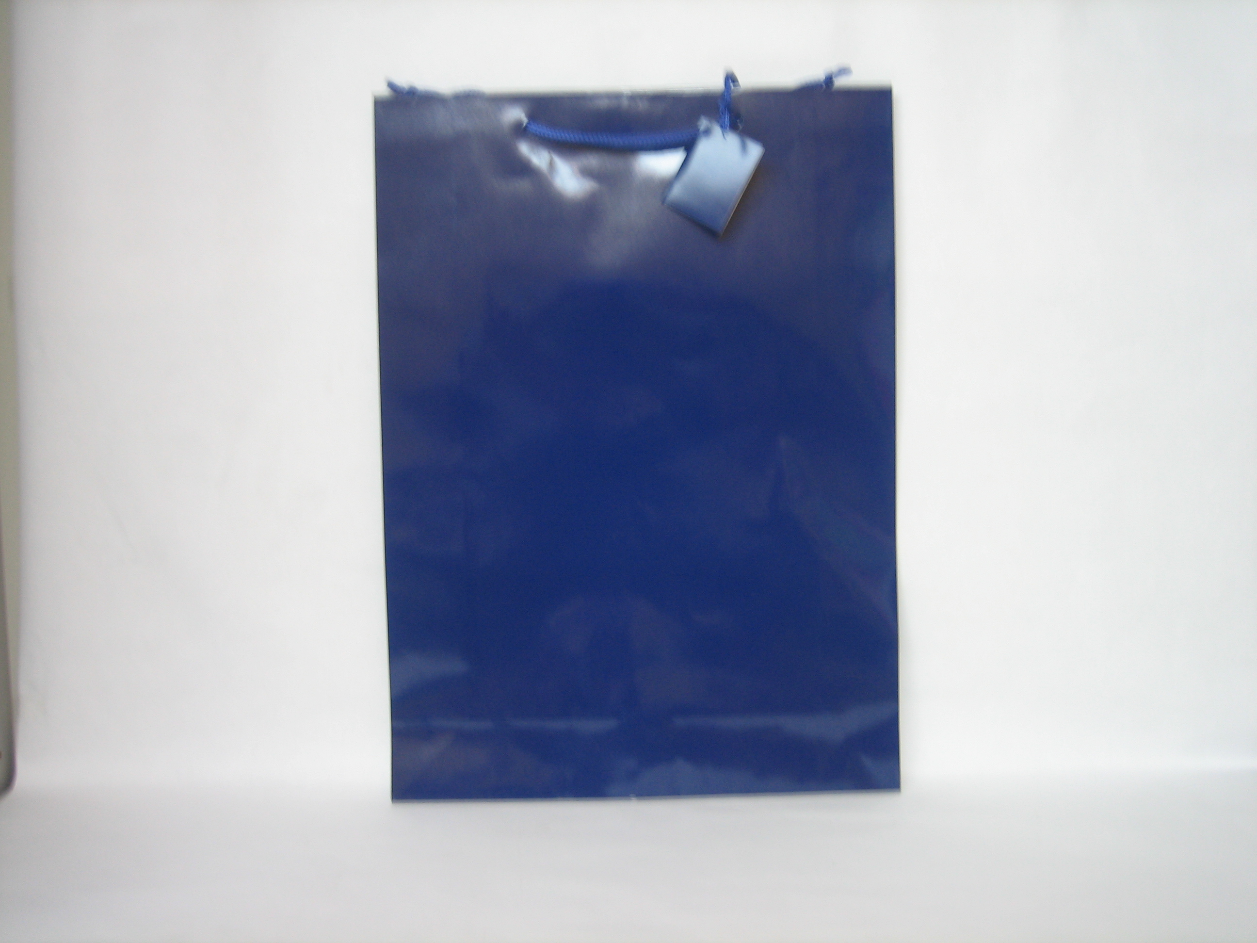 SHOPPERS FTO: 32,4X44,5+10 BLU LUCIDO