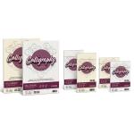 FAVINI CALLIGRAPHY MILLERIGHE 25 BUSTE 100 gr. BIANCO 01 cm. 11x22