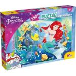 PUZZLE MAXI ARIEL 250PZ
