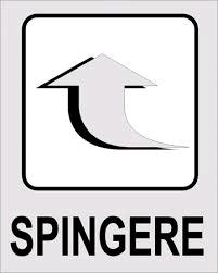 TARGA ADESIVA SPINGERE N. 863