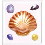 FORMA RILIEVO CM. 21x23 CONCHIGLIE