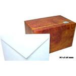 BIGLIETTI 220 GR. + BUSTE 85 GR. BRISTOL FORMATO 9 CM. 9X14 (100 PZ + 100 PZ)