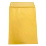 BUSTE A SACCO AVANA 100 GR. CM. 23X33 CON STRIP (500 PZ)