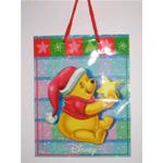 BUSTA REGALO WINNIE THE POOH 20X26 CON CORDONCINO X