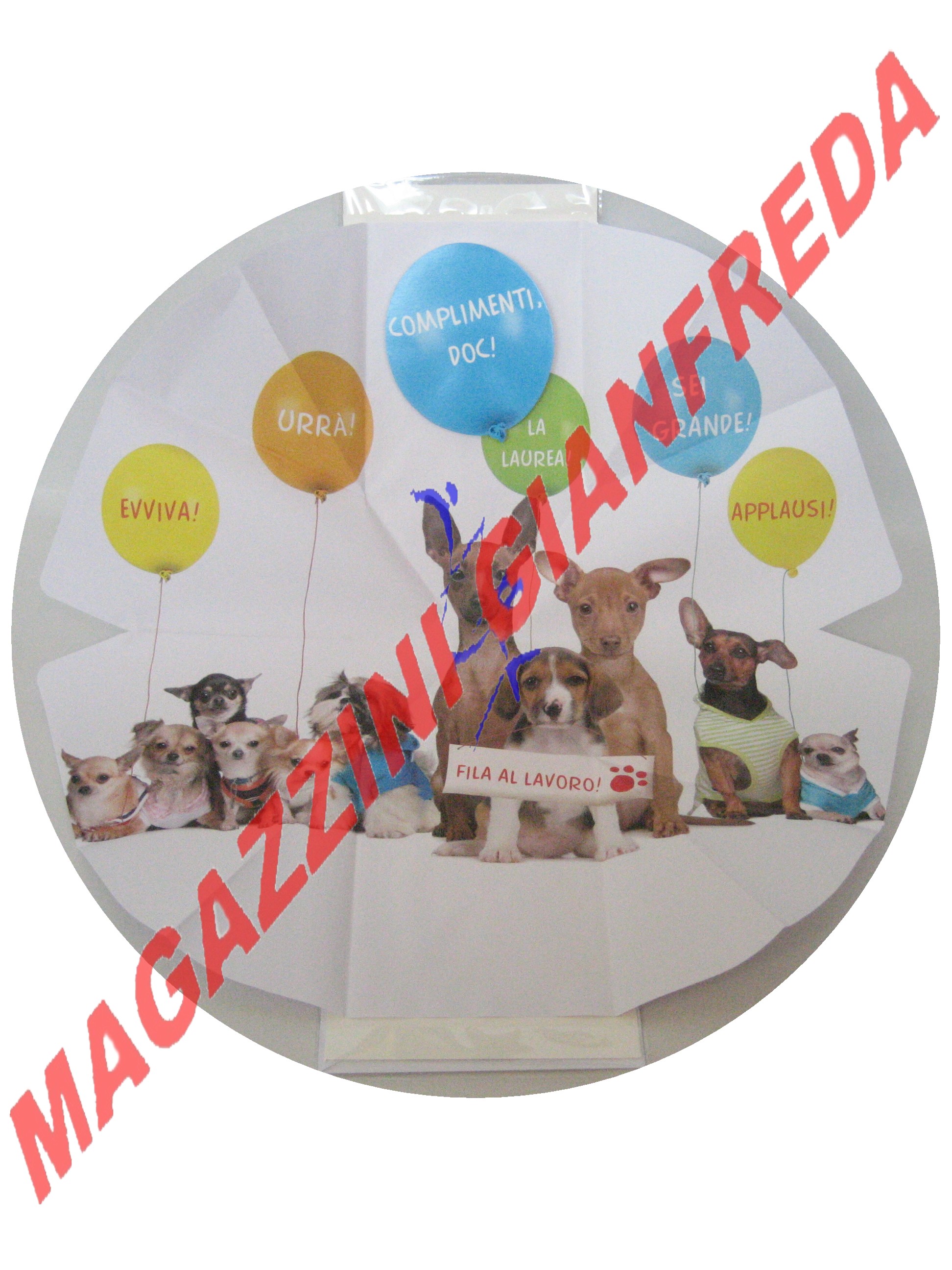 MAXI BIGLIETTO AUGURI LAUREA 3D POP UP PERLEBERG