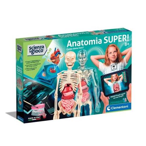 Anatomia Super