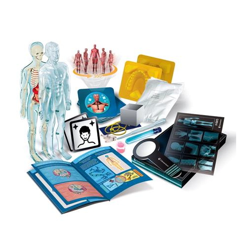 anatomia-super-4