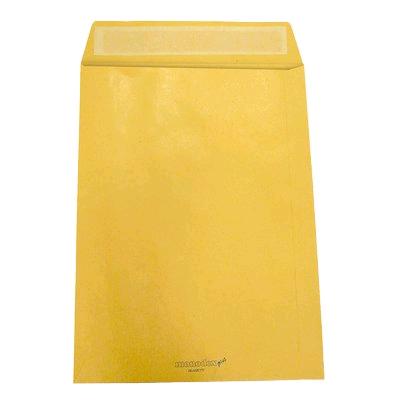 BUSTE A SACCO AVANA 100 GR. CM. 23X33 CON STRIP (500 PZ)