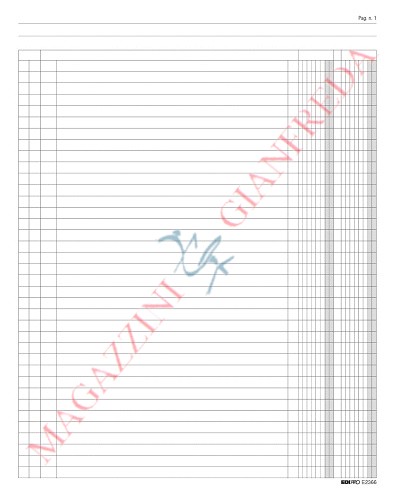 EDIPRO Libro Giornale 92 Pagine | 2 Colonne | Formato 31x24,5cm | Per Appunti E Registri - Foto 11