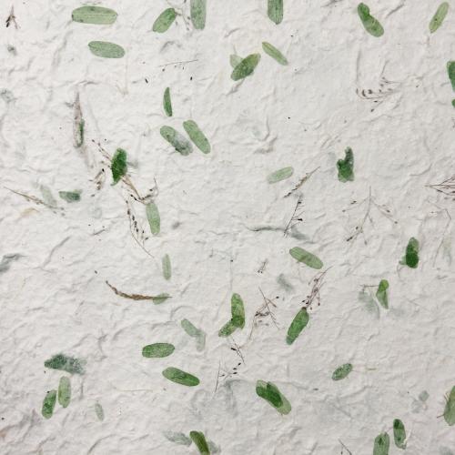 Carta Kozo Fili di Provenza 52×77 cm 90 gr – Foglio Artistico Naturale con Petali Verdi per Decorazioni e Progetti Creativi