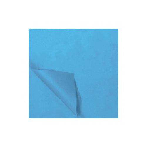 Carta Velina Azzurro Chiaro 50×76 cm – Confezione 24 Fogli Leggeri per Decorazioni, Imballaggi e Creazioni Creative