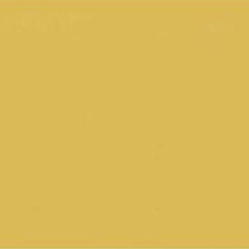 Cartoncino Liscio FabColore 70x100 cm Giallo Oro – Fogli per Creatività e Decorazioni (100)