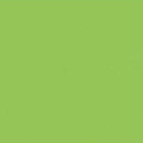 Cartoncino Liscio FabColore 70x100 cm Verde Chiaro – Fogli per Creatività e Decorazioni (100)