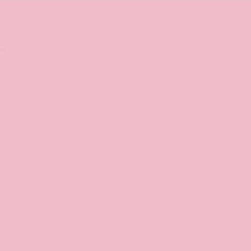 Cartoncino Liscio FabColore 70x100 cm – Rosa, Acid Free e Certificato FSC