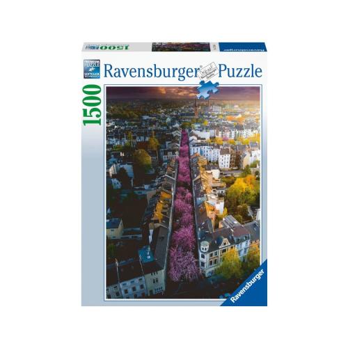 PUZZLE 1500 PZ "BONN IN FIORE"