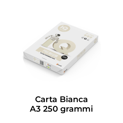 carta bianca a3 250 grammi